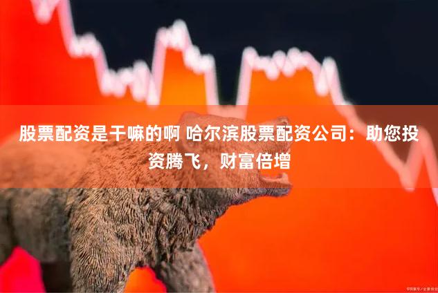 股票配资是干嘛的啊 哈尔滨股票配资公司：助您投资腾飞，财富倍增