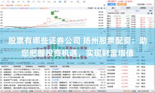 股票有哪些证券公司 扬州股票配资：助您把握投资机遇，实现财富增值