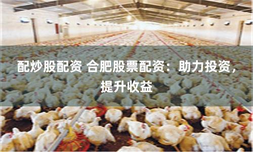 配炒股配资 合肥股票配资：助力投资，提升收益