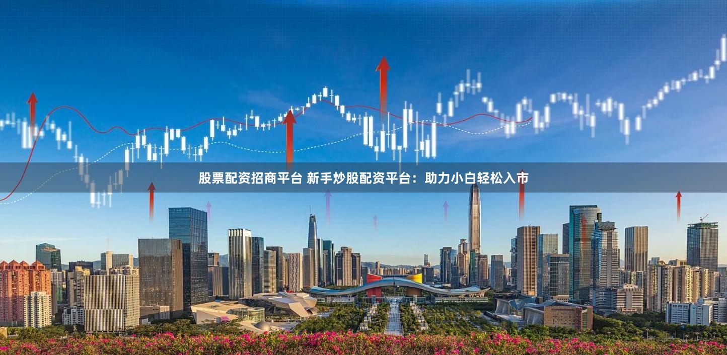 股票配资招商平台 新手炒股配资平台：助力小白轻松入市