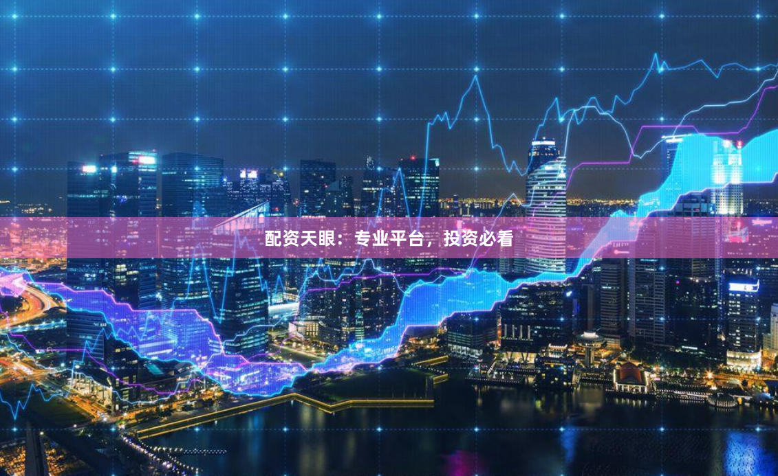 配资天眼：专业平台，投资必看