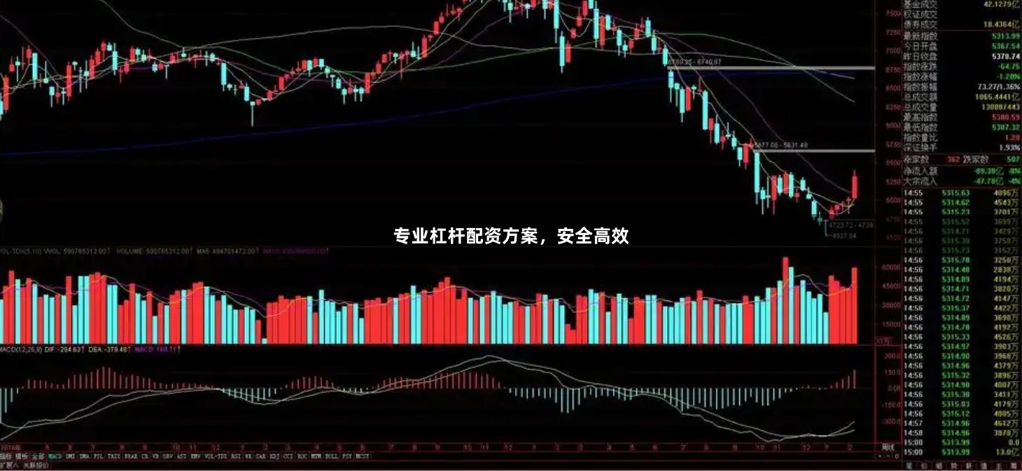专业杠杆配资方案，安全高效