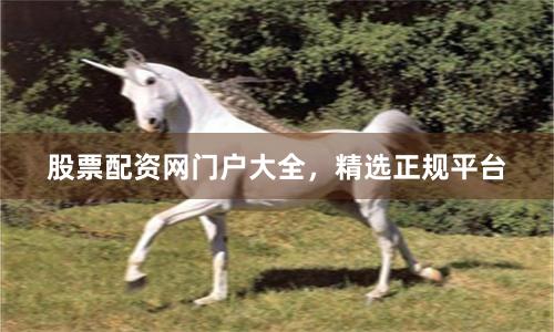 股票配资网门户大全，精选正规平台
